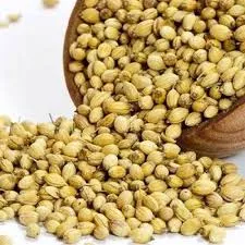 كبزرة سوري حبوب*1كجم